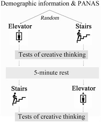 The Effect of Brief Stair-Climbing on Divergent and Convergent Thinking